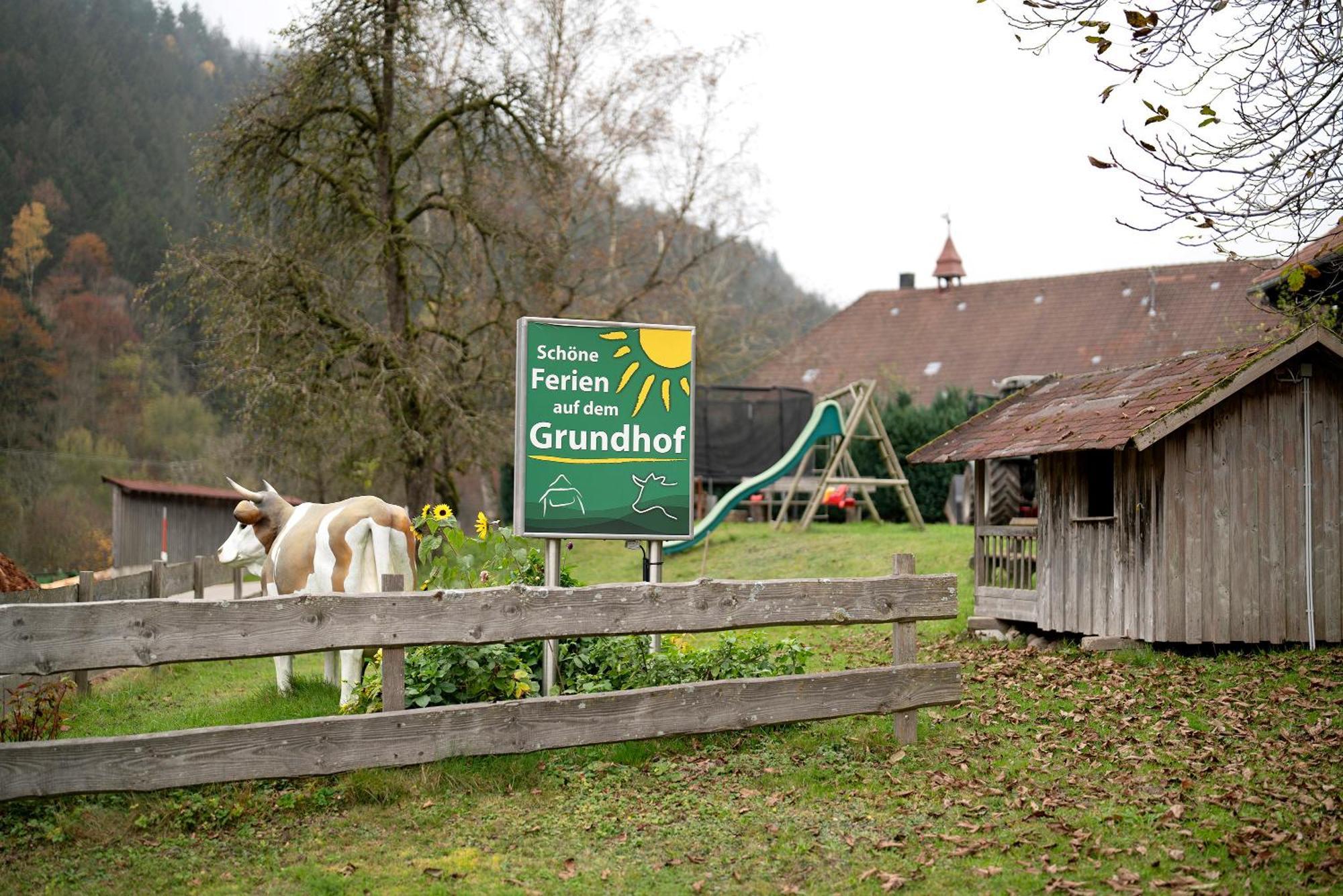 Вілла Grundhof Oberprechtal Екстер'єр фото